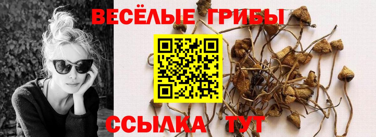 Галлюциногенные грибы мицелий  Вход с VPN  купить  сайты  Галлюциногенные грибы прущие грибы  Боровичи 